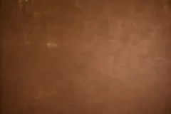 Clonix